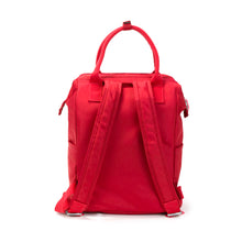 Load image into Gallery viewer, SALK BACKPACK 13
