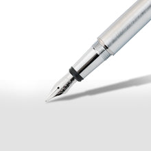 Load image into Gallery viewer, MINNY BIG FOUNTAIN PEN
