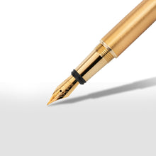 Load image into Gallery viewer, MINNY BIG FOUNTAIN PEN
