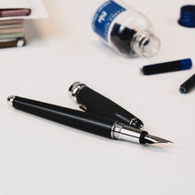 Load image into Gallery viewer, MINNY BIG FOUNTAIN PEN
